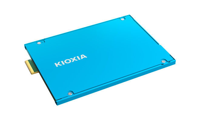 CXLXL 与兼容的存储器扩展模块 KIOXIA XL1 系列