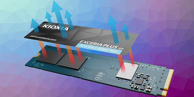 EXCERIA PLUS G4 SSD 内部图片
